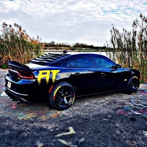 Meet your Posher, Bernard